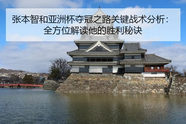 张本智和亚洲杯夺冠之路关键战术分析：全方位解读他的胜利秘诀